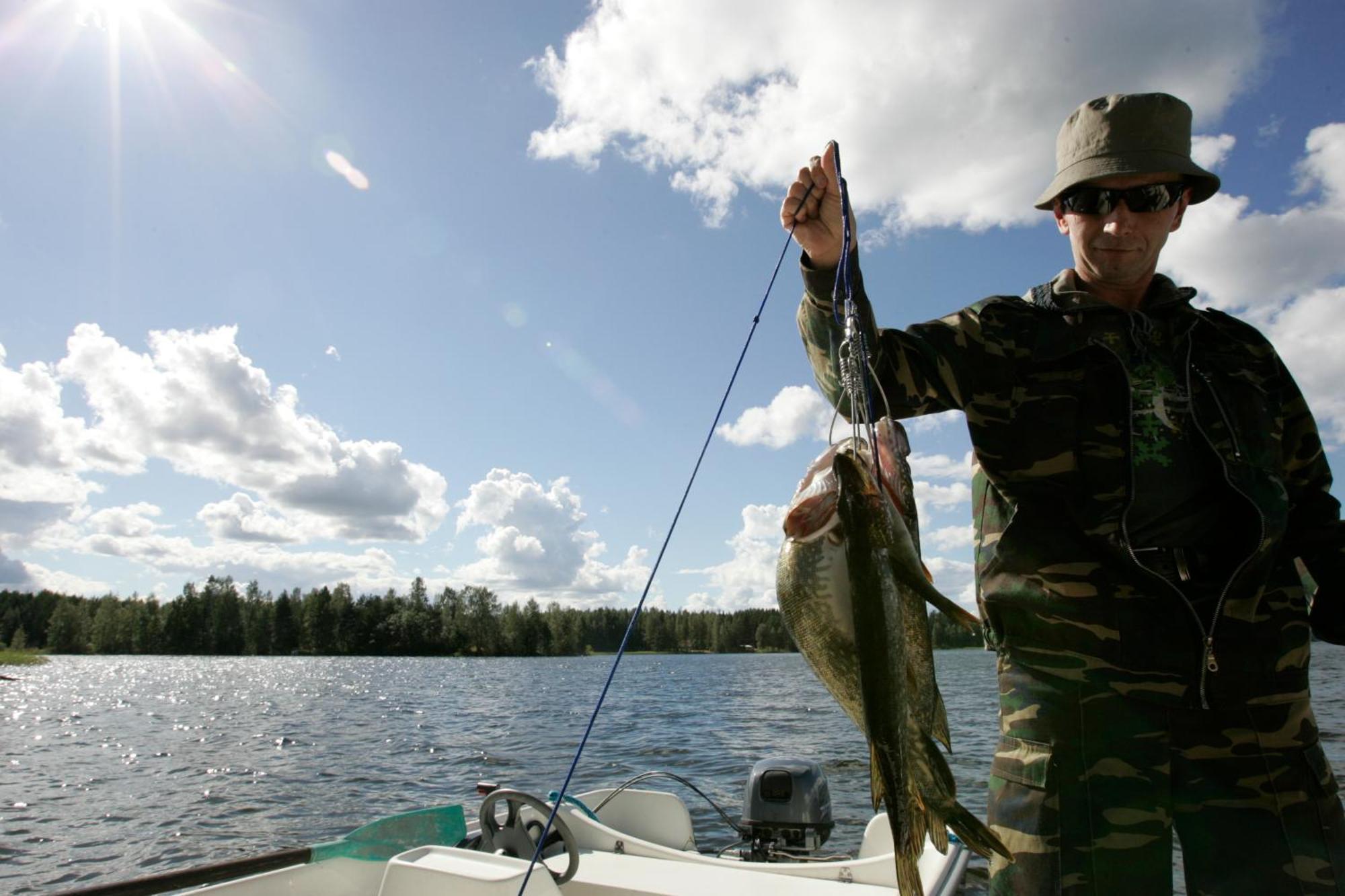 Resort Naaranlahti Punkaharju Bagian luar foto