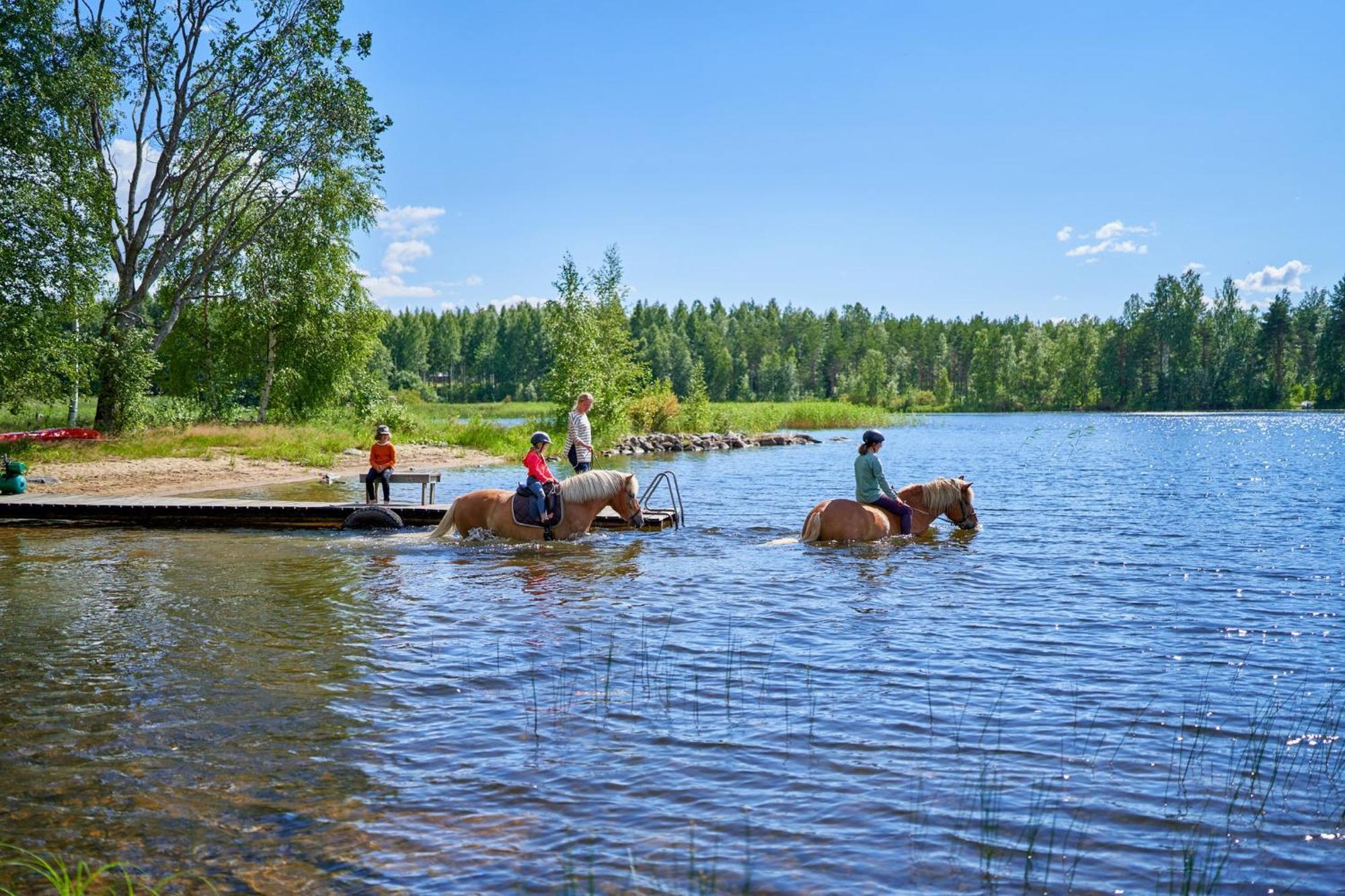 Resort Naaranlahti Punkaharju Bagian luar foto